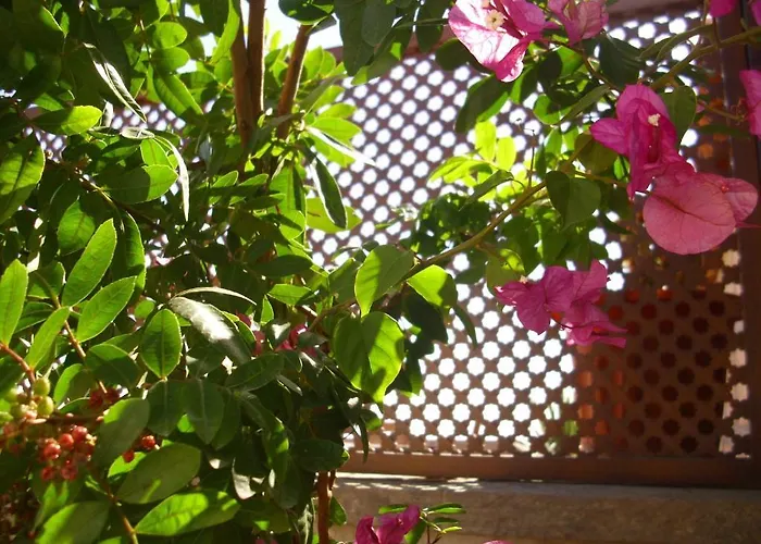 Hétvégi ház Casa Rural Tamaide San Miguel de Abona