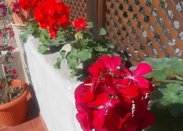 Casa Rural Tamaide カントリーハウス サンミゲル・デ・アボナ