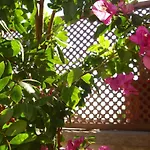 בית כפרי Casa Rural Tamaide סן מיגל דה אבונה