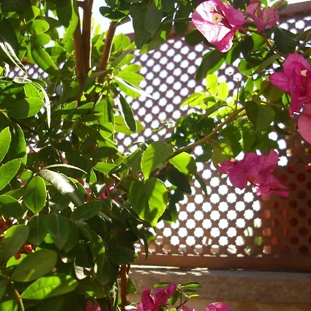 Country house Casa Rural Tamaide San Miguel de Abona